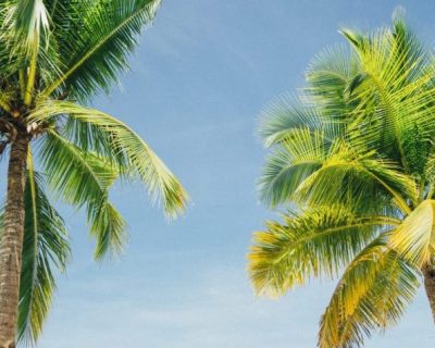 Photo: james-connolly-363041-unsplash