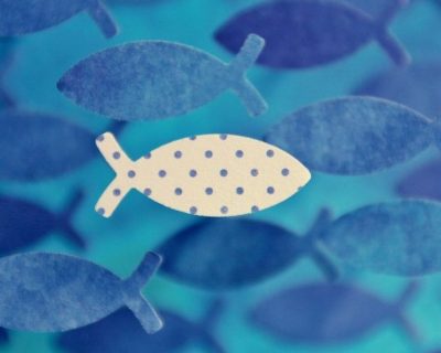 fish-4085375_1280